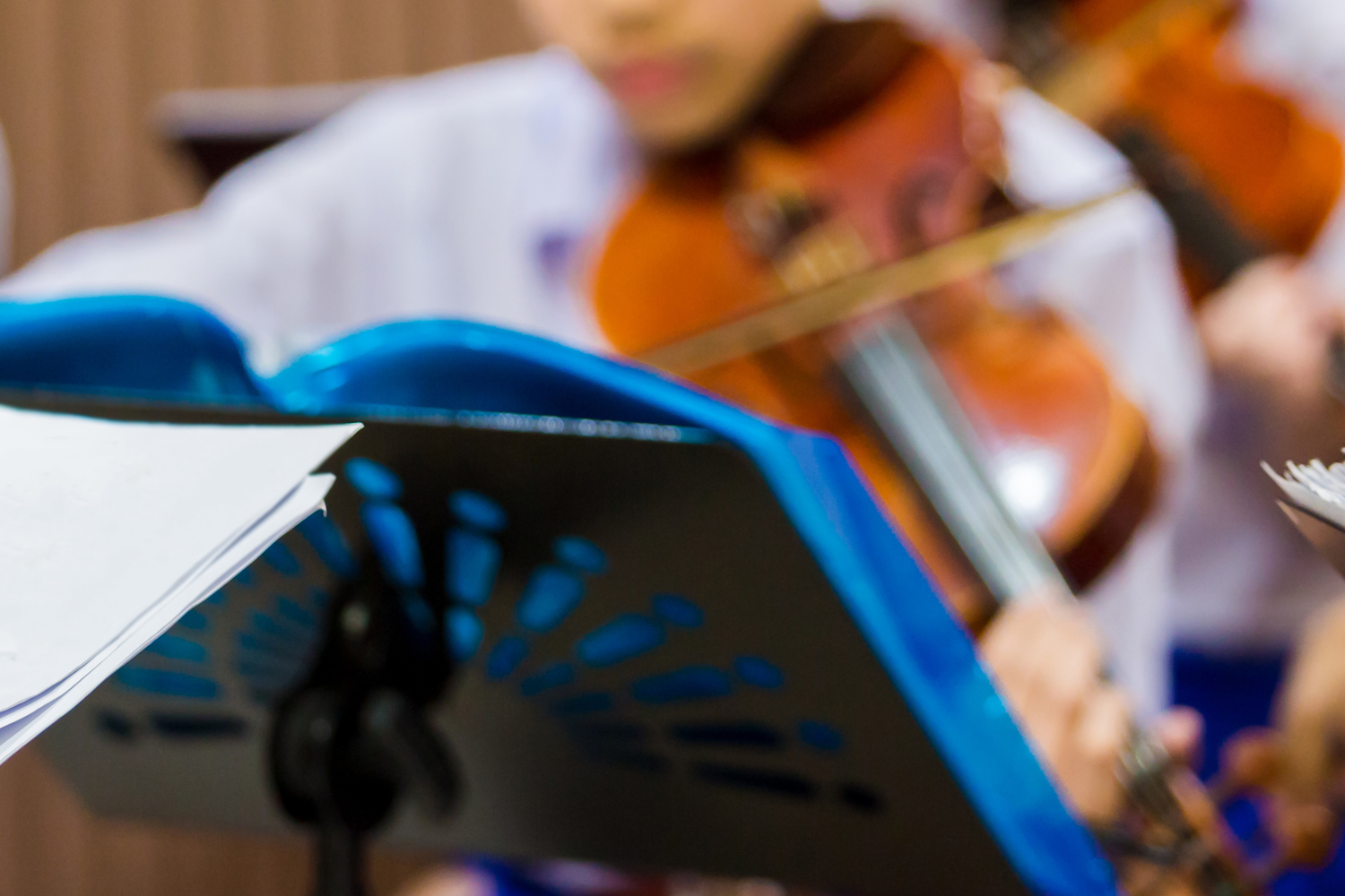 Vom Landeskonservatorium zur Privatuniversität